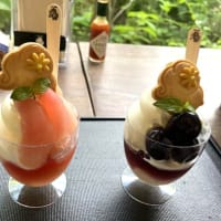 河口湖周遊
