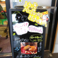 べに花の町、埼玉県桶川市　その１