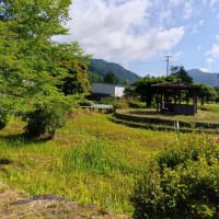 今日も暑くなりそう？