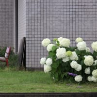 ６月２７日（金）　　雨の諏訪湖
