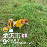 自力整体2、3
