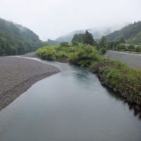本日の海部川