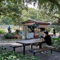 日比谷公園に売店が在る風景
