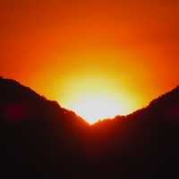 二上山の日の出～北大伴　千早川３　２０２５．７
