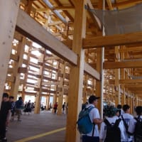 大阪万博、大屋根リング歩いてきました