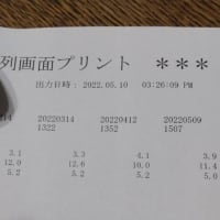 リムパーザ服用305日目　ブログお引っ越しです🚛