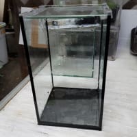 中古 コトブキ レグラス 150×150×250オールガラス水槽