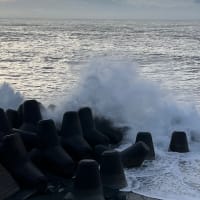 民生委員制度不要論