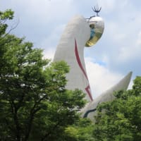 万博記念公園のひまわりフェスタその３