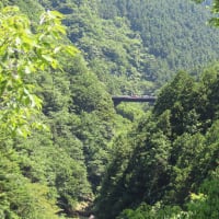 イソツネ山（多摩百８６）