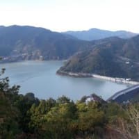 紅葉～神川町の冬桜・飯能の東郷公園・鳥居観音～