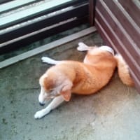 今日のヒカリ