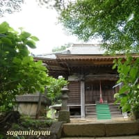 「浄慶寺境内」に鎮座する「秋葉宮」