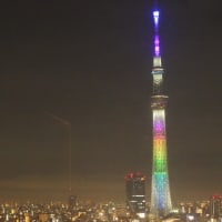 日向坂46の虹開催記念特別ライティング6