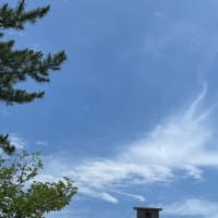 7月