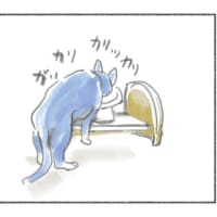 本日の猫様