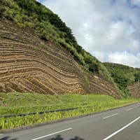 クルーズ船「コーラル ジオグラファー」でお越しの皆さまと