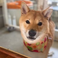 5日(土)可愛いフェアリーさん♬NO.4♪