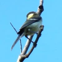 家原大池公園から神野公園