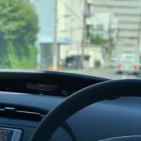 無法猿と無法運転            フジドライビングスクール東京