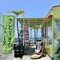 5月4、5日　沖縄　二人旅　食事