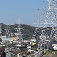 タカノメ特殊部隊さんより