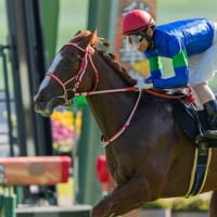 【アスゴッド】普通なら勝てるハズ！？ 6/15函館3R・出走確定