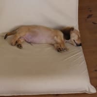 fogの夏リネン②・・・