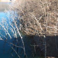 １２月の八ッ場ダム：源泉公園から群馬県道３７７号線を歩いて王湯前まで　ＰＡＲＴ２