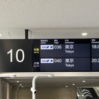 6月の出張