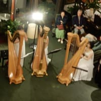 信州長期滞在の旅　第五日目　ハープの生演奏　2019.10.18　「26」　cafe  de  harp  白馬樅ノ木