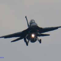 【防衛情報】アメリカ空軍Ａ－１０攻撃機１６２機全退役,エジプト空軍F-16戦闘機後継J-10C戦闘機選択肢