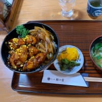 浜名湖リベンジで　牡蠣カバ丼を喰らう！