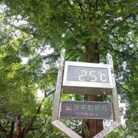 １ヵ月１０回ペースで、半年経過（760回目）