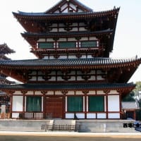 06/15奈良京都への旅-2（薬師寺）