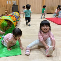 今日のみかん組の様子