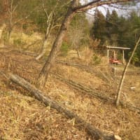 草刈り、伐採