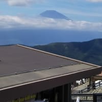 大涌谷から富士山