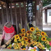 京都ロングステイ⑦
