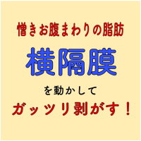 横隔膜　お腹まわりの脂肪はがし