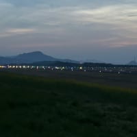 納得のサイズ