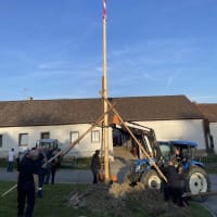 マイバウム Maibaum