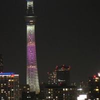 日向坂46の虹開催記念特別ライティング13