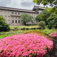 上野　東京国立博物館