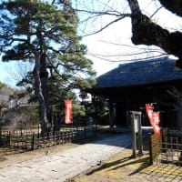 #9089 板東二十八番 滑河山 龍正院