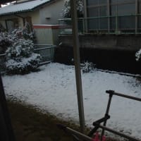 庭にも積雪