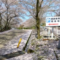一寸歩きすぎたかな。