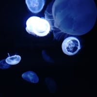 2週続きの東京行