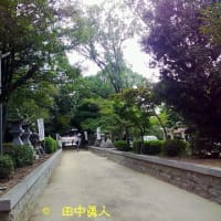 阪南市石田波太神社・伊勢大神楽講社山本勘太夫社中の総舞奉納～神社初参詣～