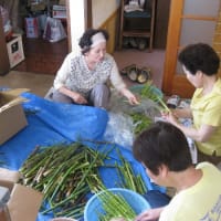 野沢温泉竹の子祭り、６月１２日～２１日